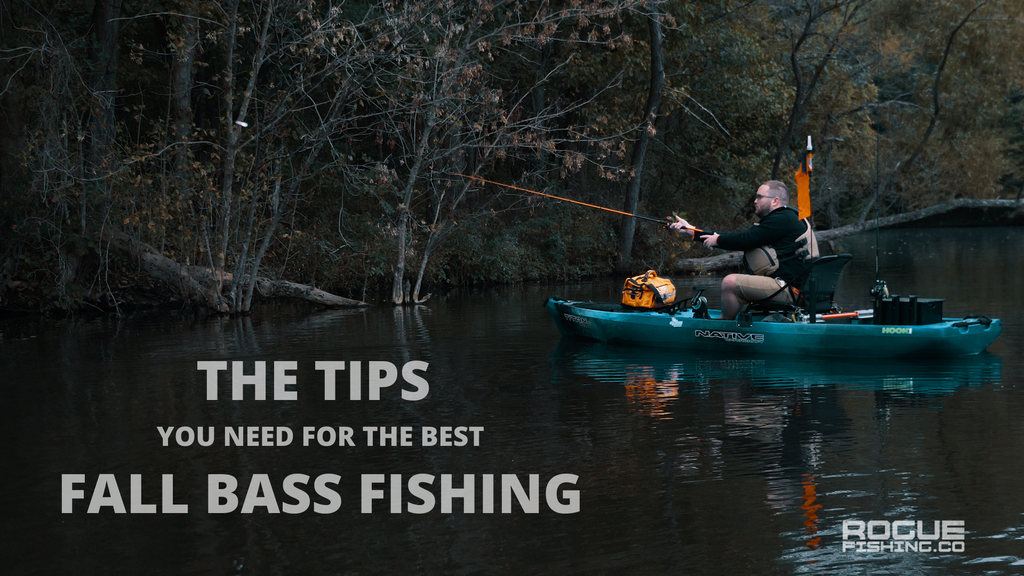 The Tips You Need for the Best Fall Bass Fishing